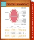 Image for Dental Anatomy: Speedy Study Guides