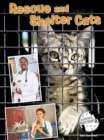 Image for Rescue and Shelter Cats