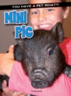 Image for Mini Pig