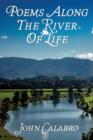 Image for Poems Along the River of Life