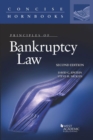 Image for Principles of Bankruptcy Law