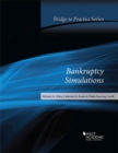 Image for Bankruptcy Simulations : Bridge to Practice