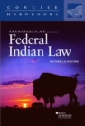 Image for Principles of Federal Indian Law