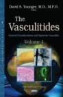 Image for VasculitidiesVolume 1,: General considerations &amp; systemic vasculitis
