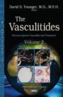 Image for VasculitidiesVolume 2,: Nervous system vasculitis and treatment