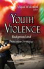 Image for Youth violence  : background &amp; prevention strategies