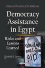 Image for Democracy assistance in Egypt  : risks &amp; lessons learned