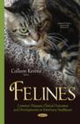 Image for Felines