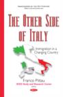 Image for The other side of Italy  : immigration in a changing country