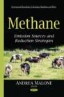 Image for Methane  : emission sources &amp; reduction strategies