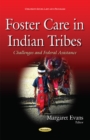 Image for Foster Care in Indian Tribes