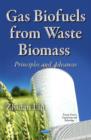 Image for Gas biofuels from waste biomass  : principles and advances