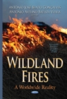 Image for Wildland fires  : a worldwide reality