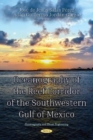 Image for Oceanography of the Reef Corridor of the Southwestern Gulf of Mexico