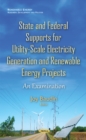 Image for State &amp; federal supports for utility-scale electricity generation &amp; renewable energy projects  : an examination