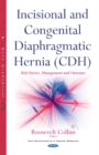 Image for Incisional and congenital diaphragmatic hernia (CDH)  : risk factors, management and outcomes