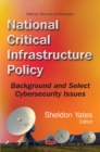 Image for National Critical Infrastructure Policy