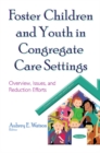 Image for Foster children and youth in congregate care settings  : overview, issues, and reduction efforts