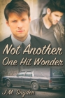 Image for Not Another One Hit Wonder