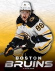 Image for Boston Bruins