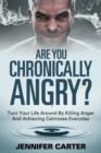 Image for Are You Chronically Angry? : Turn Your Life Around By Killing Anger And Achieving Calmness Everyday