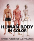 Image for Human Body In Color Volume 1