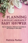 Image for Planning a Budget-Friendly Baby Shower : How to Organize a Welcome Committee to the Coming of a New Baby