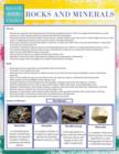 Image for Rocks and Minerals (Speedy Study Guide)