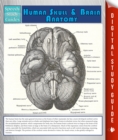 Image for Human Skull And Brain Anatomy (Speedy Study Guide)