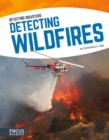 Image for Detecting Diasaters: Detecting Wildfires