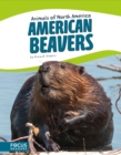 Image for American beavers