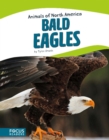 Image for Animals of North America: Bald Eagles