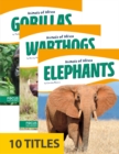 Image for Animals of Africa (Set of 10)