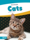 Image for Animals: Cats