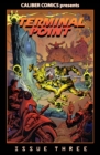 Image for Terminal Point #3