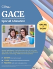 Image for GACE Special Education General and Adapted Curriculum (081, 082, 581, 083, 084, 583) Study Guide : Georgia Assessments for the Certification of Educators Exam Prep and Practice Test Questions