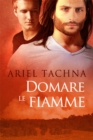 Image for Domare le fiamme