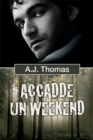 Image for Accadde un weekend