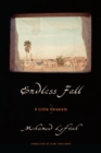 Image for Endless Fall : A Little Chronicle