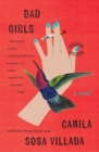 Image for Bad Girls : A Novel