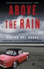Image for Above the rain  : a novel
