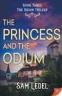 Image for The Princess and the Odium