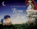 Image for A Guinea Pig Romeo &amp; Juliet