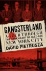 Image for Gangsterland : A Tour Through the Dark Heart of Jazz-Age New York City
