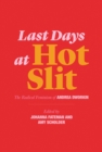Image for Last Days at Hot Slit