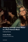 Image for Walking through clear water in a pool painted black  : collected stories