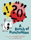 Image for Bunch of Punctuation