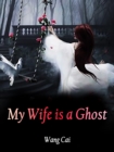 Image for My Wife is a Ghost