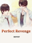 Image for Perfect Revenge