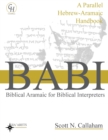 Image for Biblical Aramaic for Biblical Interpreters